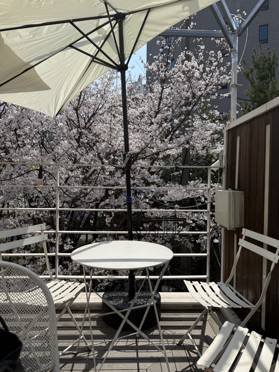 friendalee93's tweet photo. 🌸🤍Parkside (파크사이드) คาเฟ่วิวสวนที่สายชิลต้องหลงรัก! พิกัด 서울 마포구 성미산로 161 (161 Seongmisan-ro, Mapo-gu, Seoul) 
เปิด-ปิด: 11:00 - 22:00 น.
#ParksideSeoul #YeonnamdongCafe #คาเฟ่โซล #คาเฟ่เกาหลี #ซากุระเกาหลี #SeoulCafe #คาเฟ่วิวสวน #���ีวิวเกาหลี  #koreatravel https://t.co/akUTvLZBXN