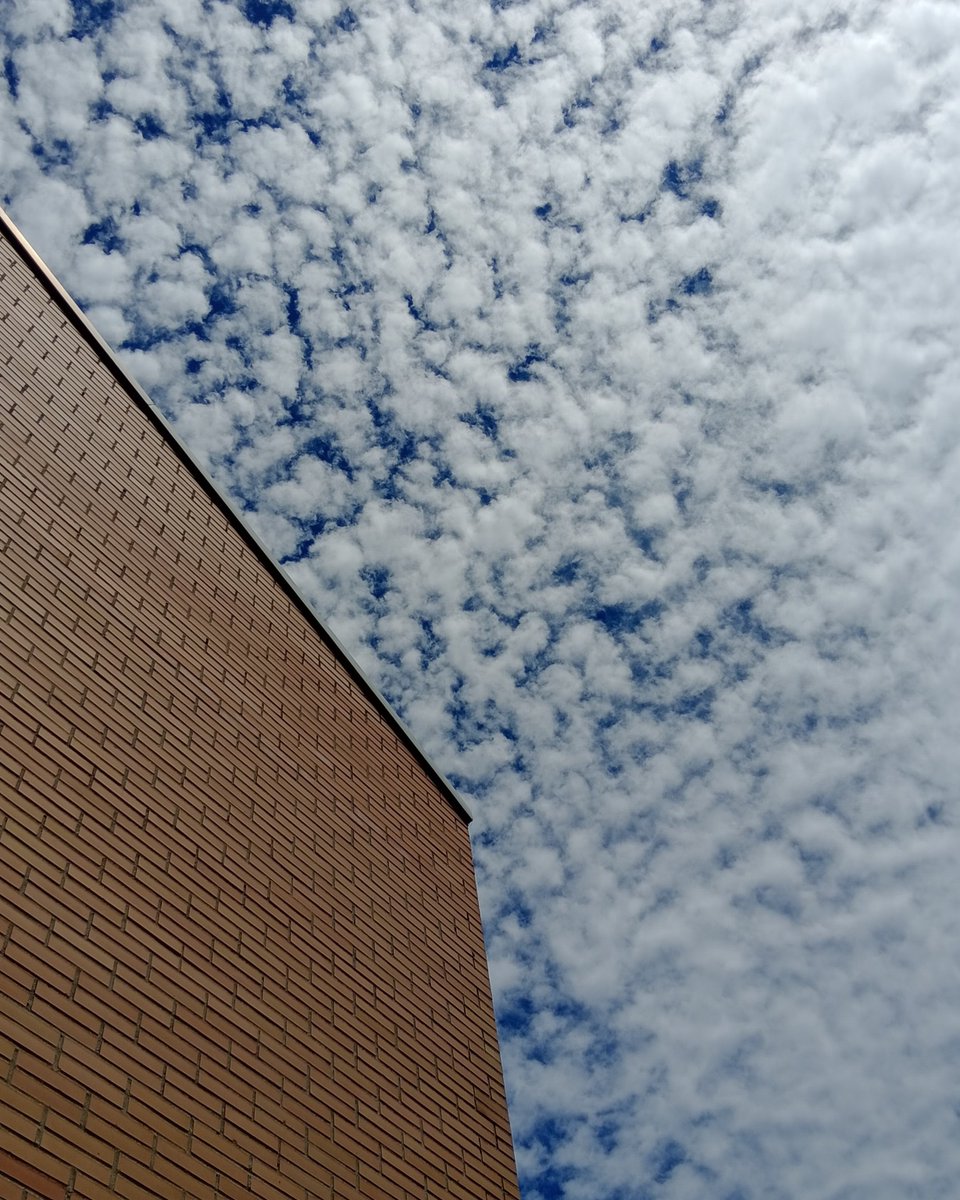 "Los senderos del aire, en la distancia,
recordando la lluvia,
quizá la memoria de la niebla,
allí por donde he de regresar"

Fernando Alda 

Ínsula Barataria: Almenaras de sombra, 4 insulabaratariaa.blogspot.com/2025/04/almena…