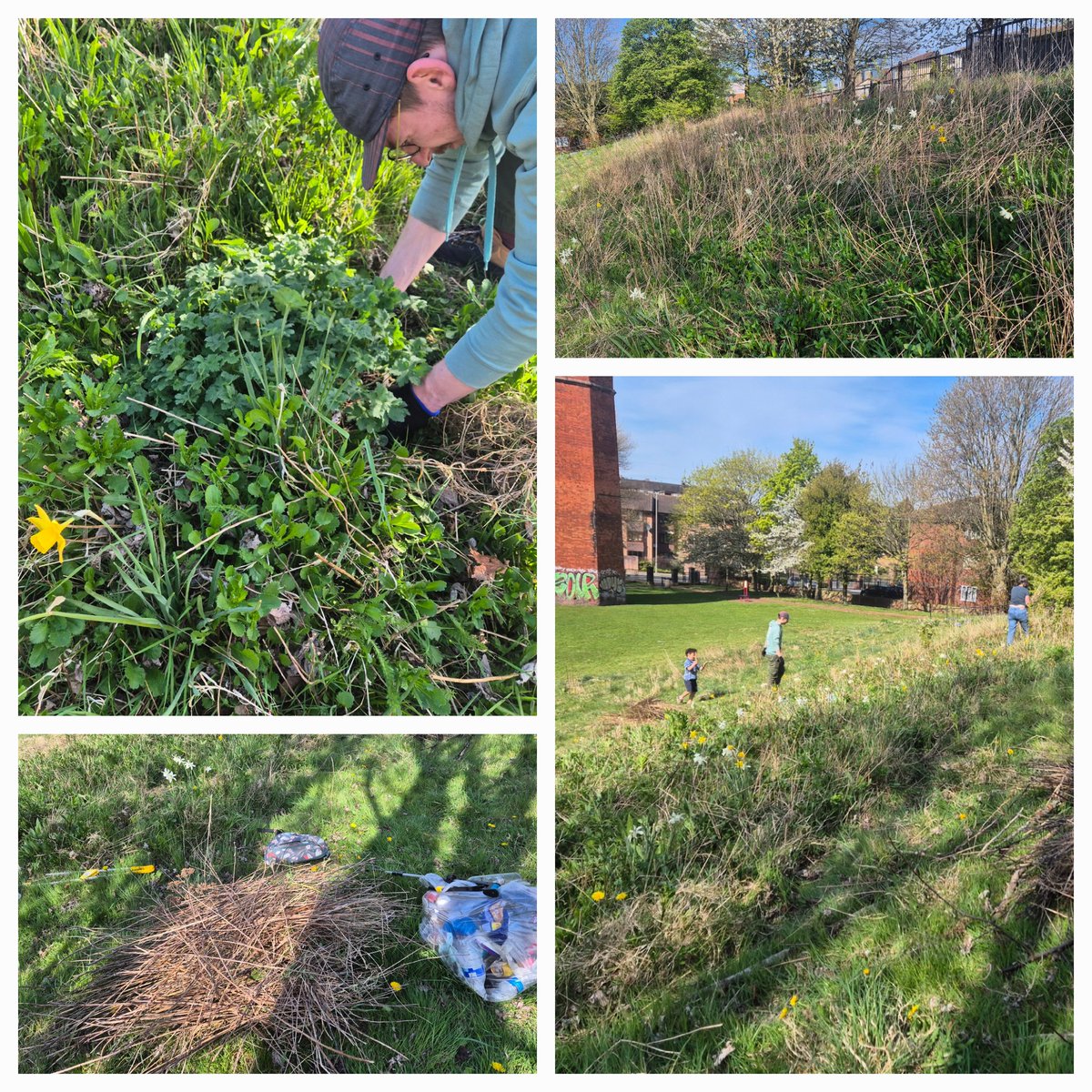 Litter Clear-Volunteer tweet media