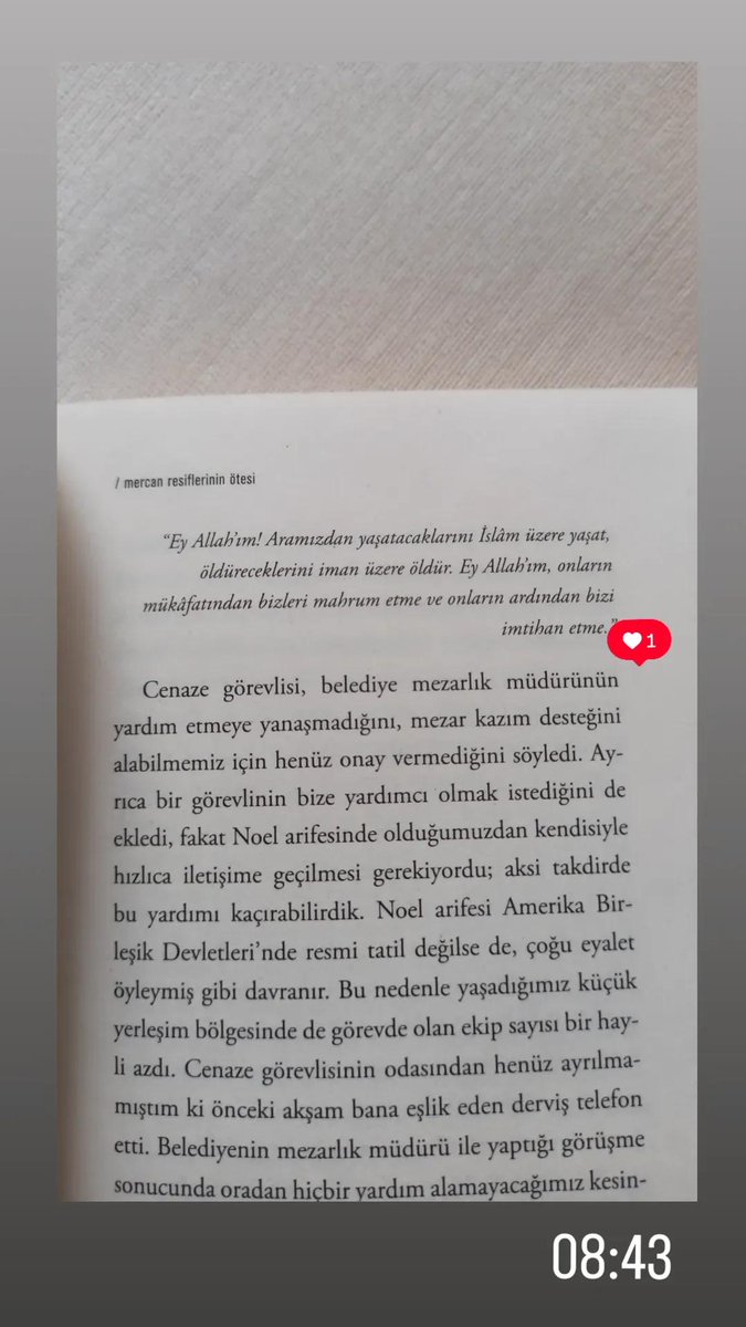 Berfin sema (@semanrgz) on Twitter photo 