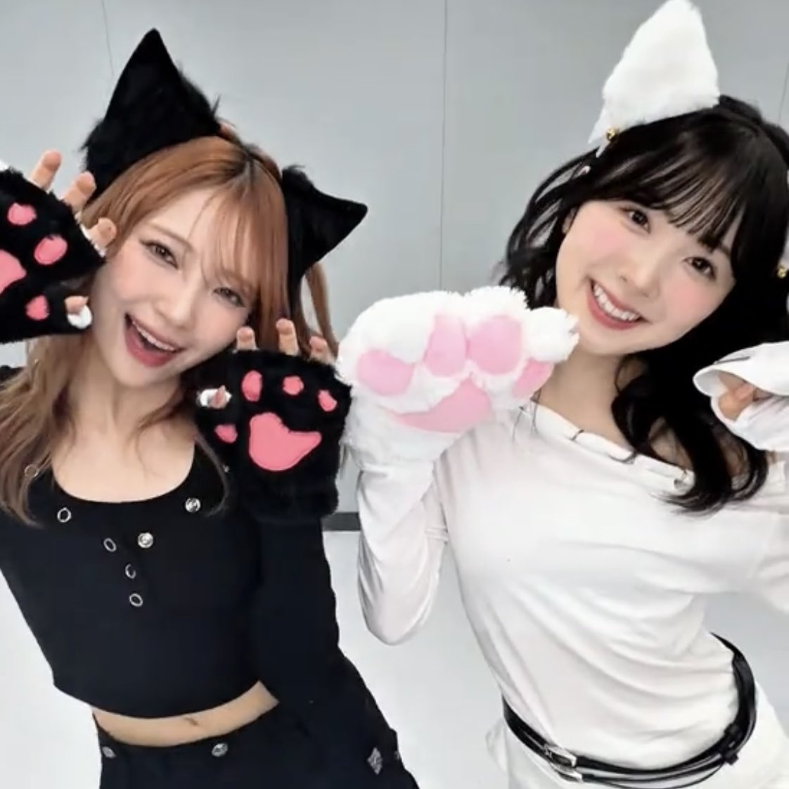 みいまゆかわいい🐈🎶🤍