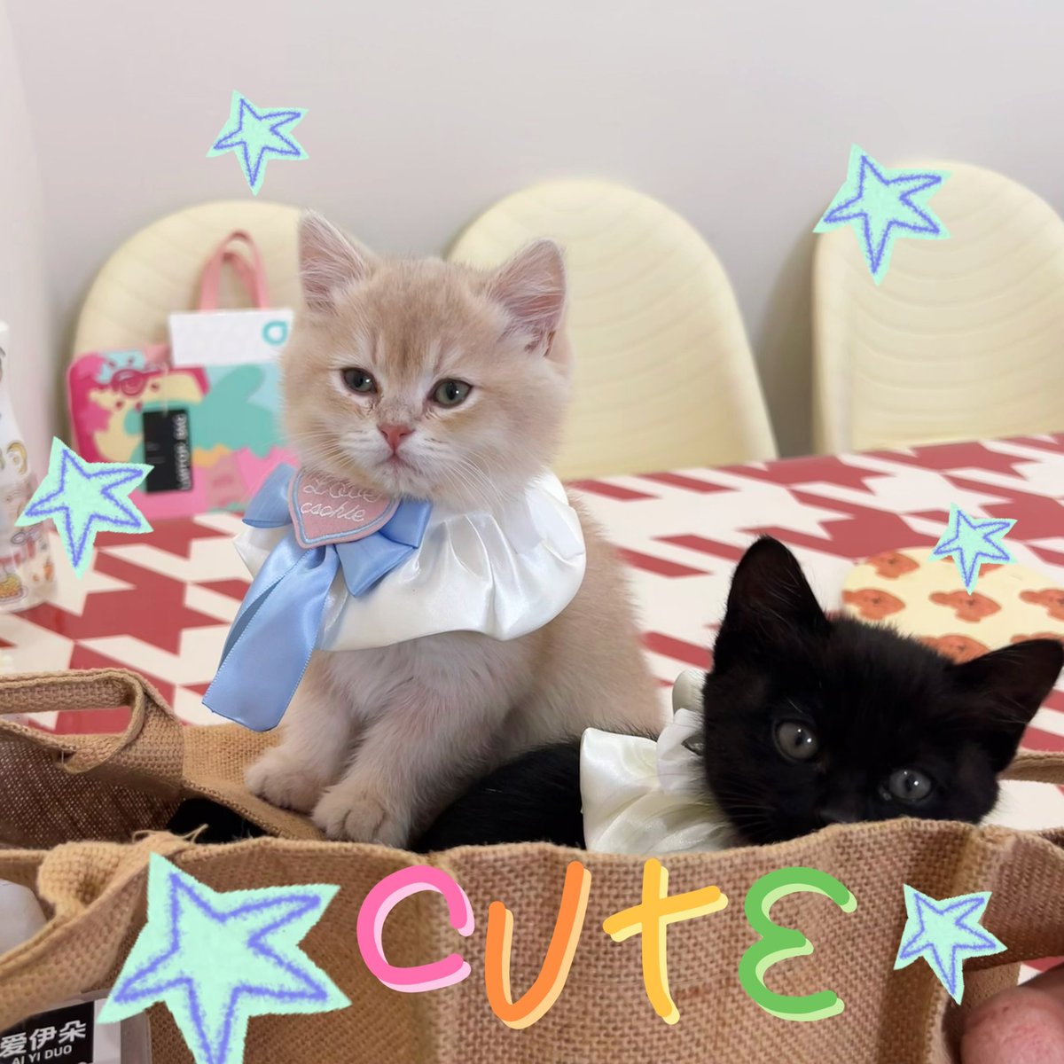 福利姬养猫的鱼分享的黄推图片4 - 网红私拍内容