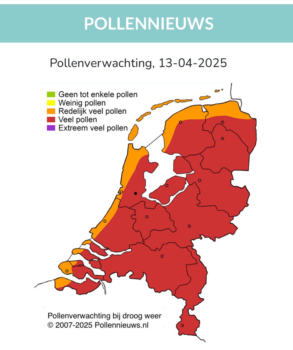 Essen en vooral Berken in Bloei. Maurice <a href="/FloraNederland/">Flora van Nederland</a> heeft een nieuw pollenjournaal geschreven. Lees het op pollennieuws.nl. #pollen, #hooikoorts.