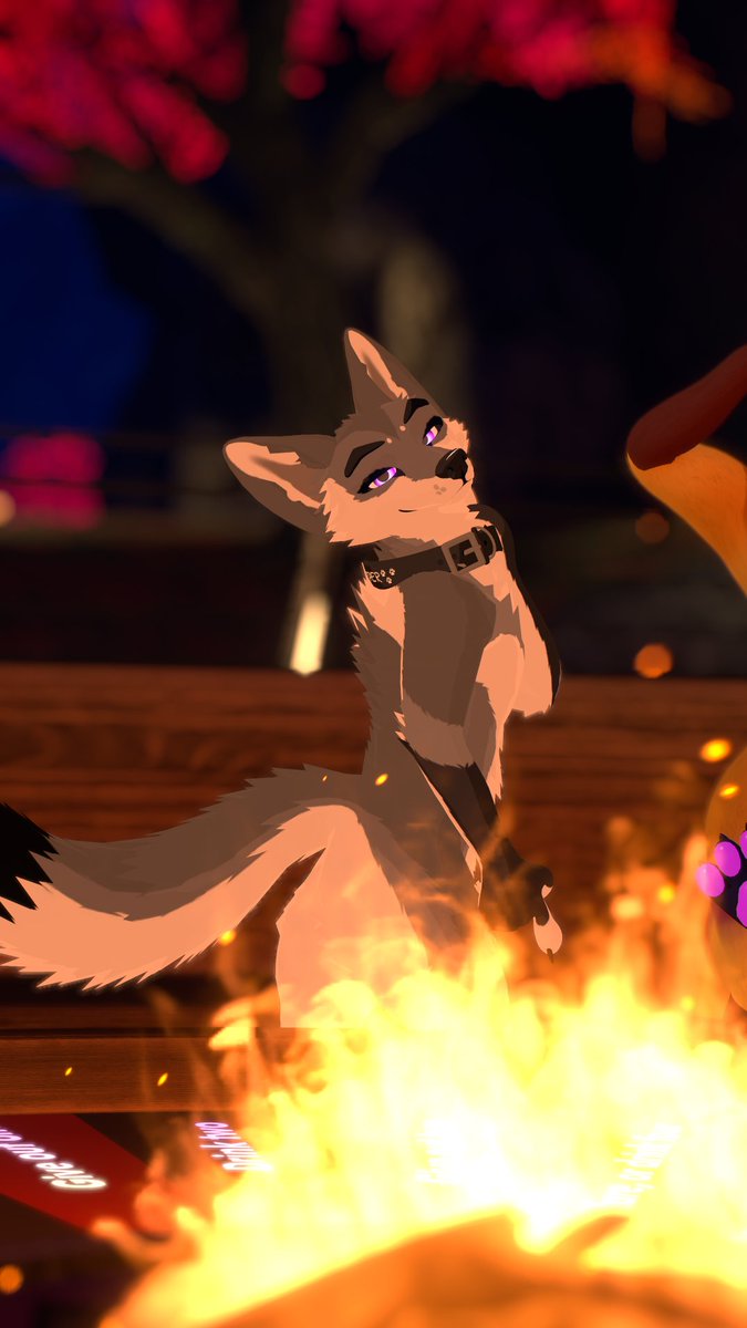 Yote Enjoyer tweet media