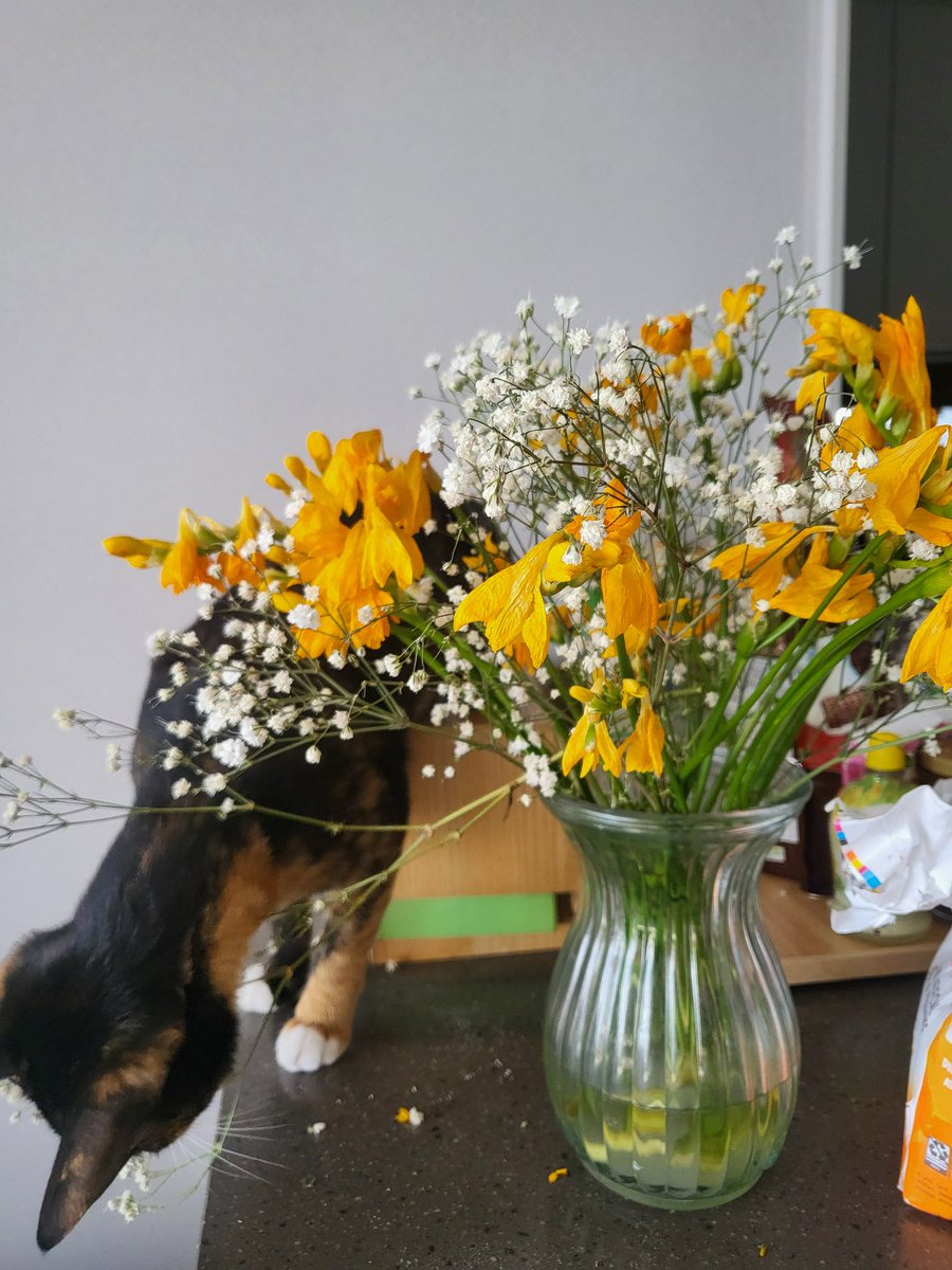 꽃 좋아하는 내딸~