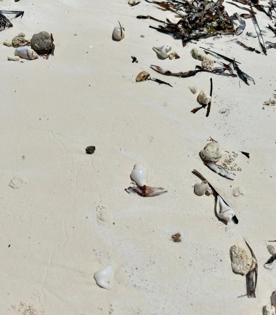 Fukwe Tours Company Ltd tweet media