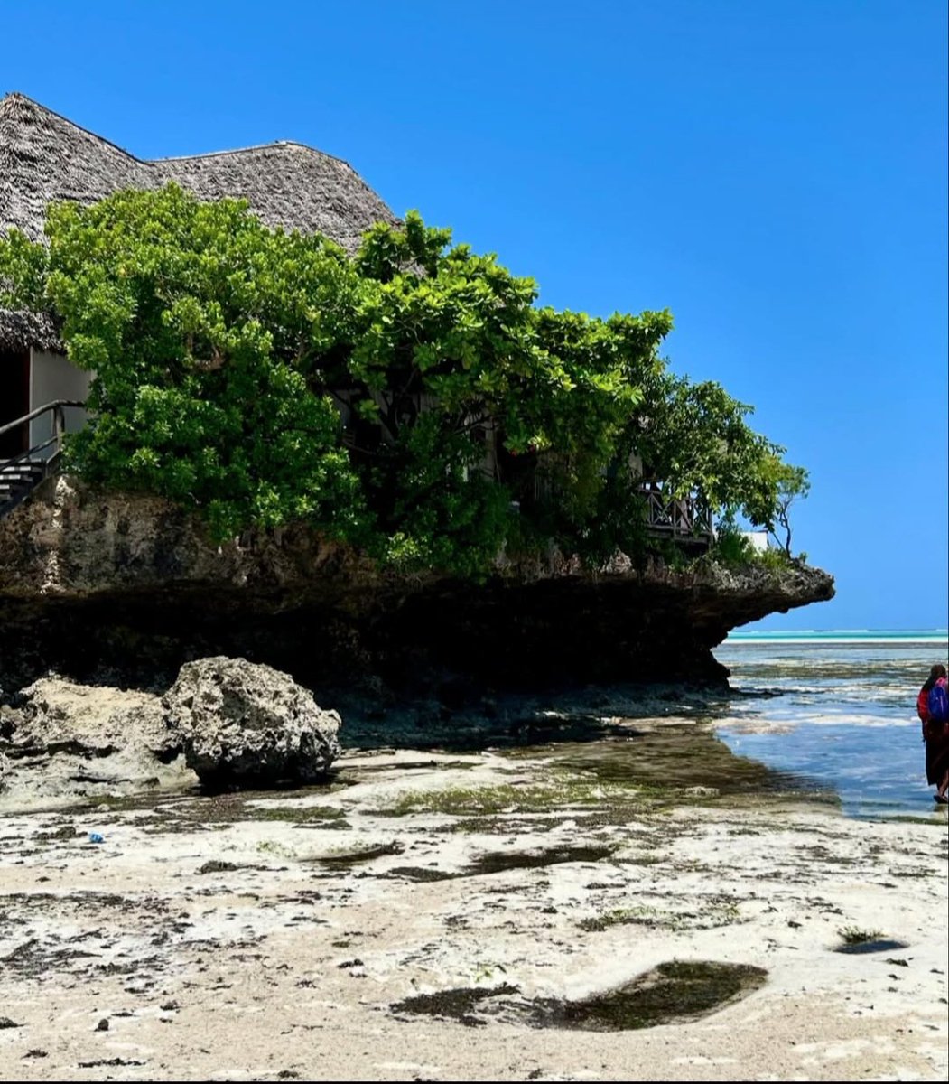 Fukwe Tours Company Ltd tweet media