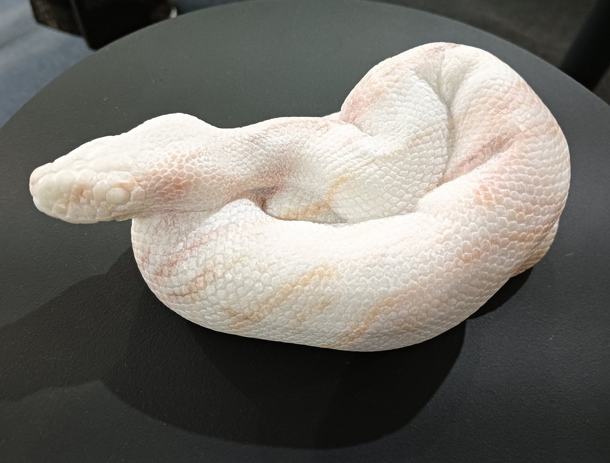 AQUA_SiON's tweet image. 優しい色合いのピンク🐍✨

🐉作品の“ピンクドラゴン”っぽいイメージも…🤔

#佐野藍
#PythonSeries
