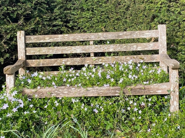 philip_ciwf's tweet photo. A corner of a friends garden
#NatureMagic #Wilding
#FavouriteBench https://t.co/e2ftaiYr5R