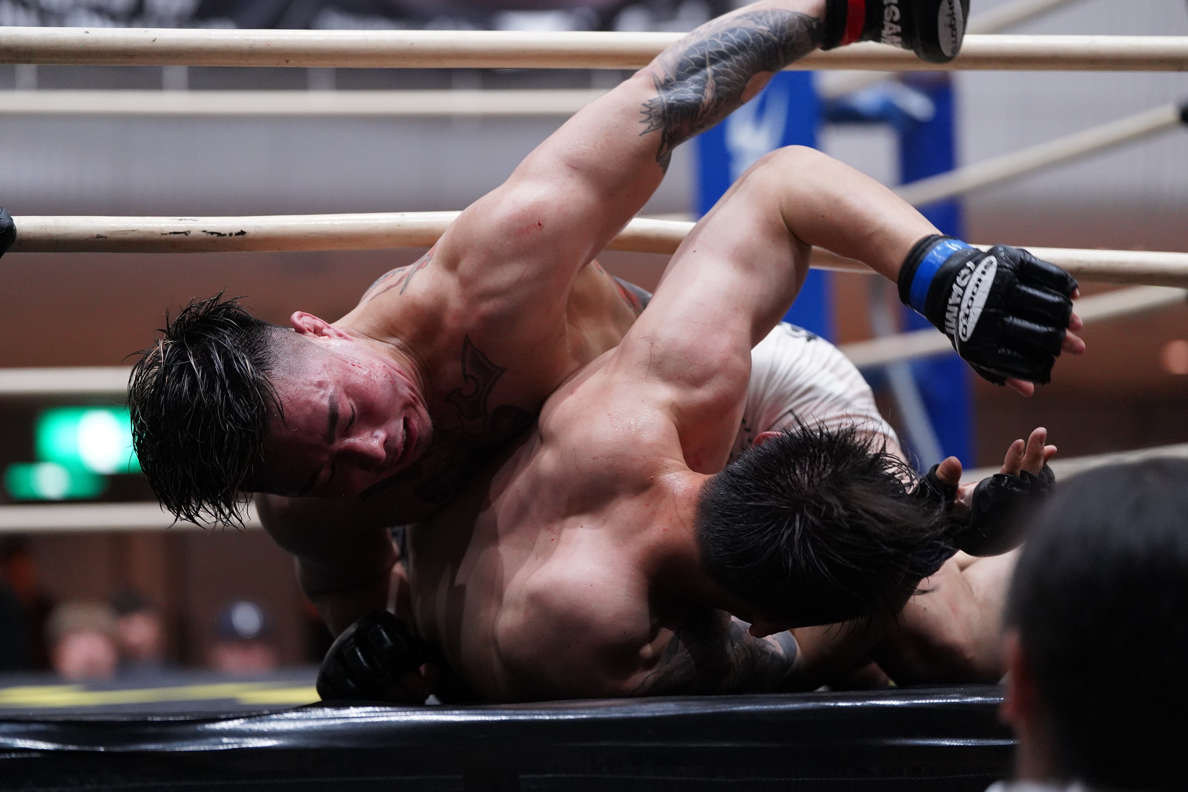 Fight Do 55 CD DVD