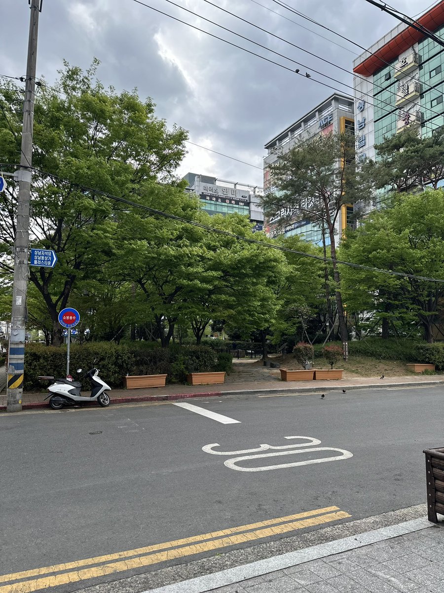 Afternoon Coffee ☕️ 🇰🇷