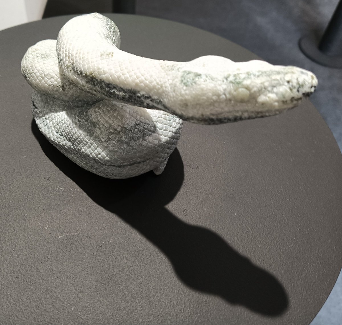AQUA_SiON's tweet image. 特徴的なグリーンが美しい🐍✨
このポーズも🐍飼ってるとよく見るお馴染みの♪😁

#佐野藍
#PythonSeries