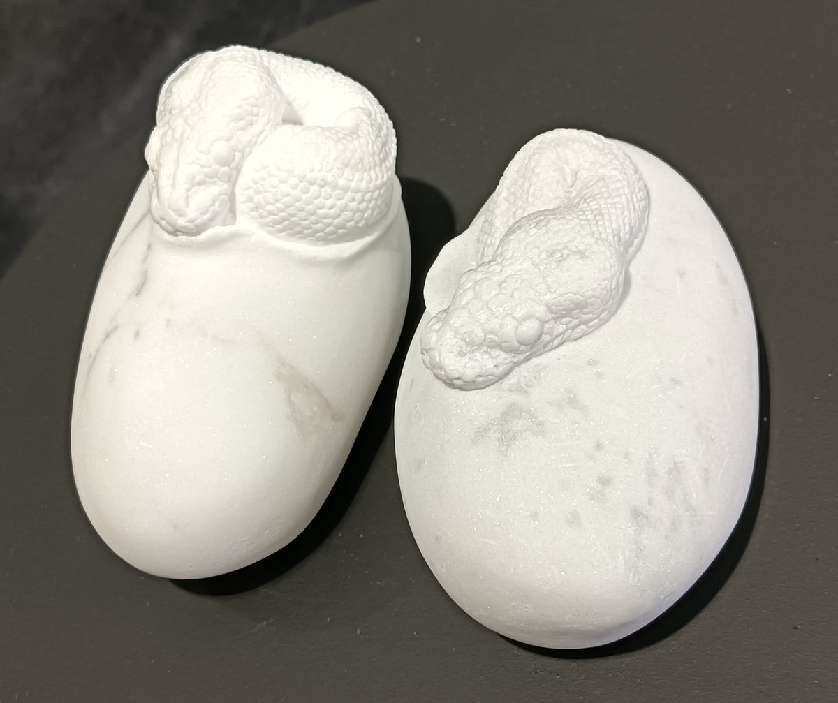 AQUA_SiON's tweet image. ちょっと休憩（？）で、可愛く和む孵化仔のハッチリング姿を〜♪🐍🥚✨

#佐野藍
#PythonSeries