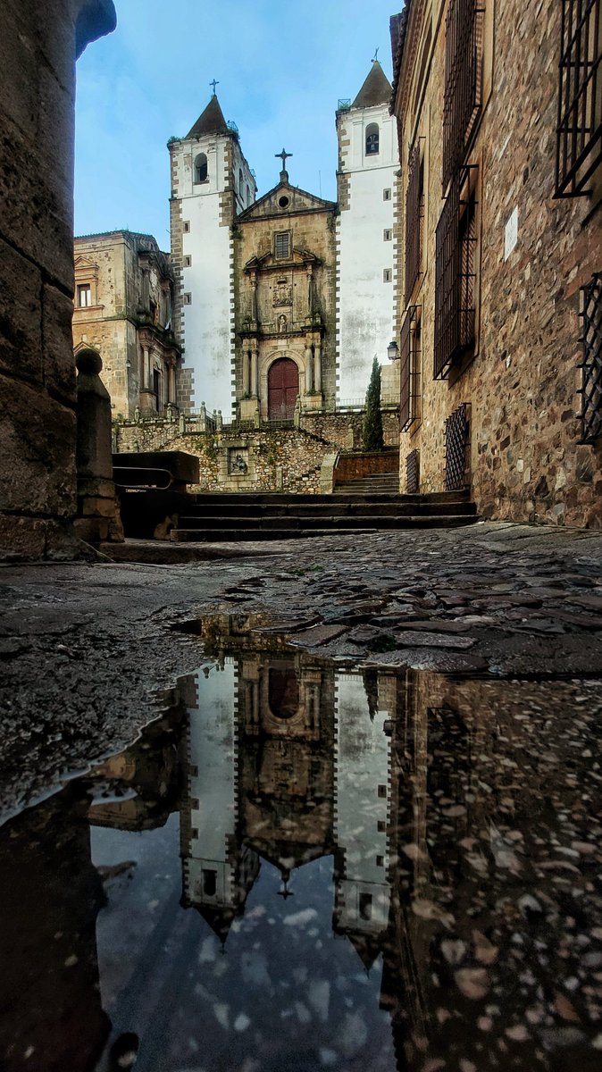 Silvia SA tweet media