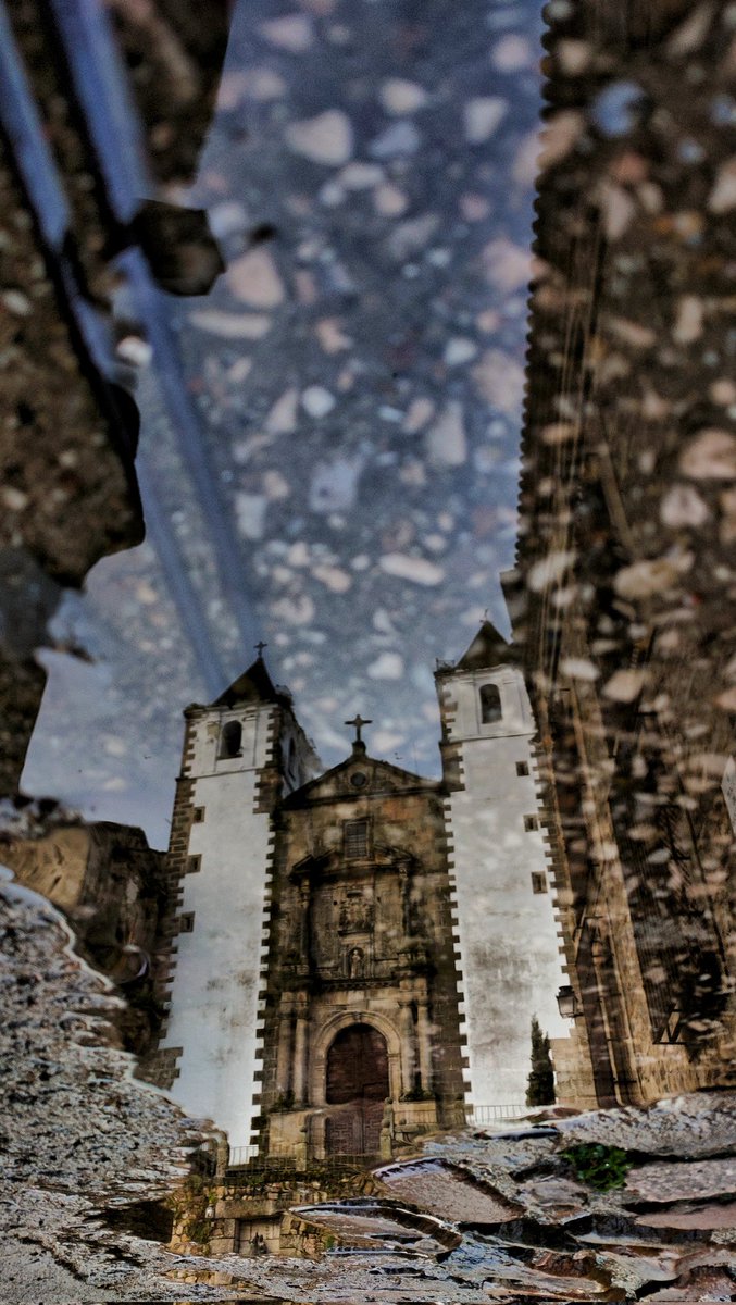 Silvia SA tweet media