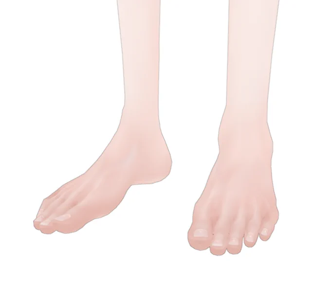 手とひざと足ぬったヨー 