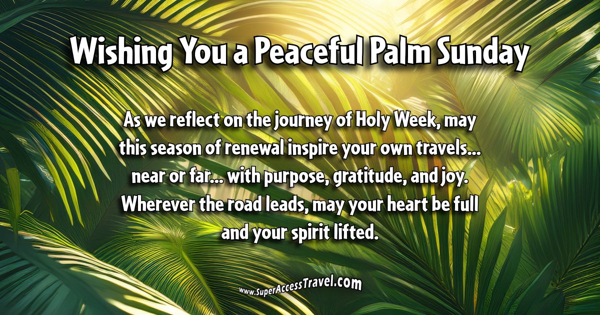 The Florida Coast (@thefloridacoast) on Twitter photo 