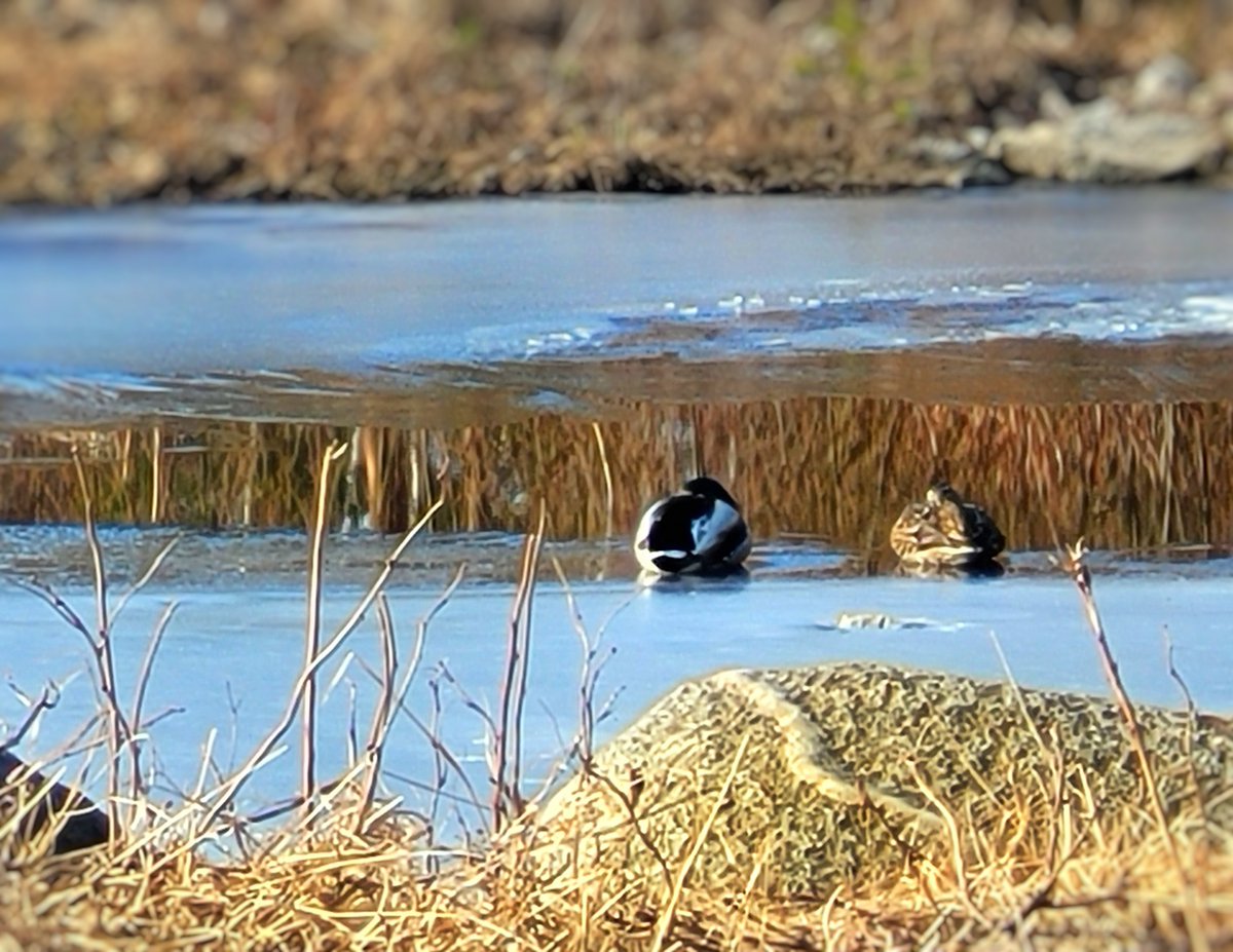 Timo Määttä tweet media