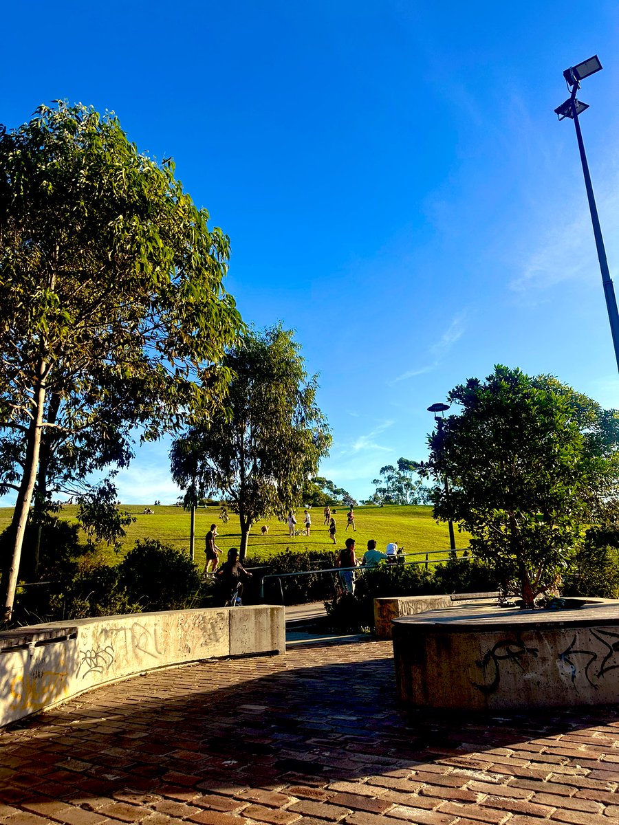 gwei goose 🟪 tweet media