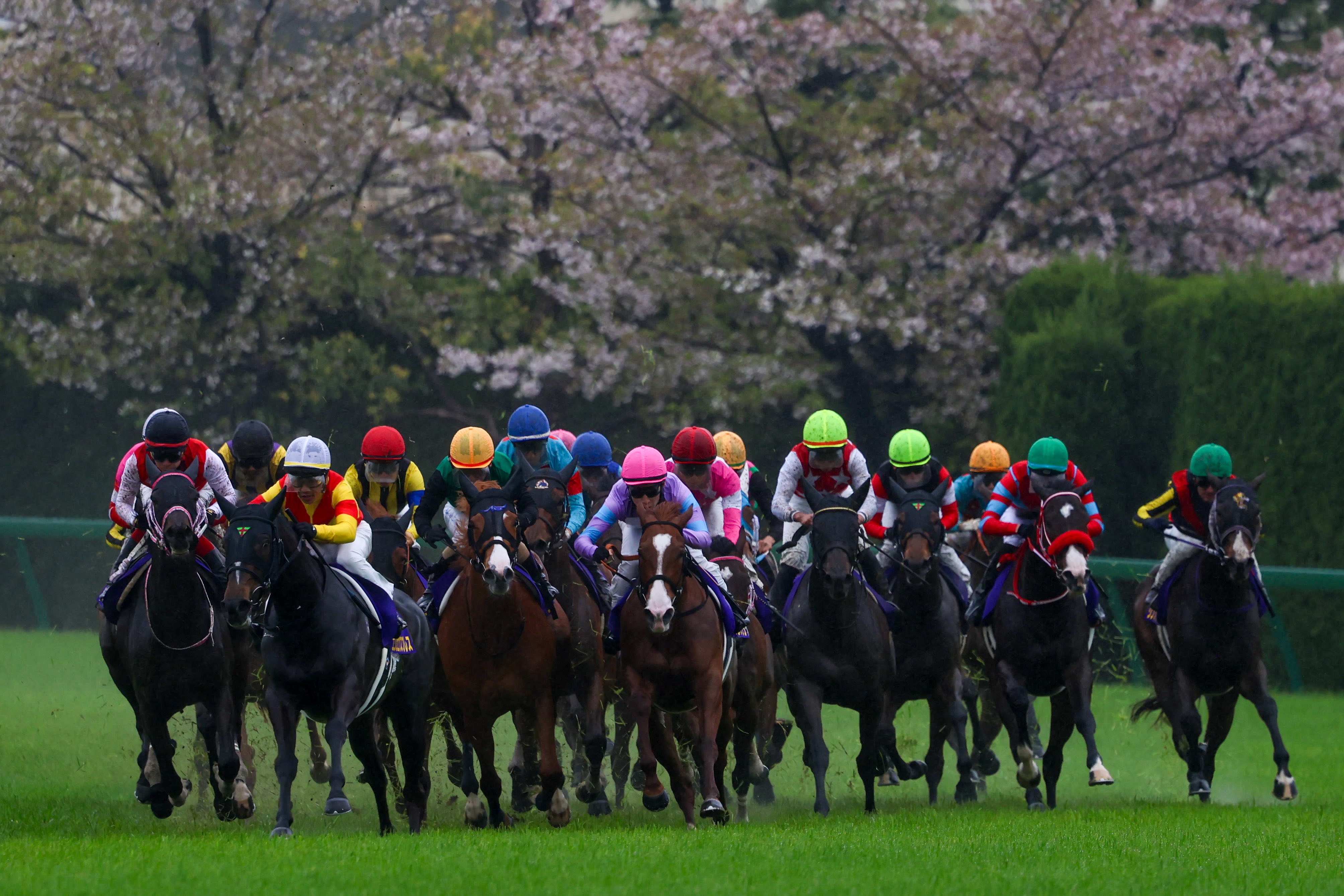 ゆたこ🏇 (@toyo1020uma) / X ゆたこ🏇 (@toyo1020uma) / X