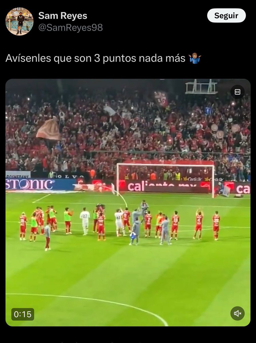 VIOLA TIGRES tweet media