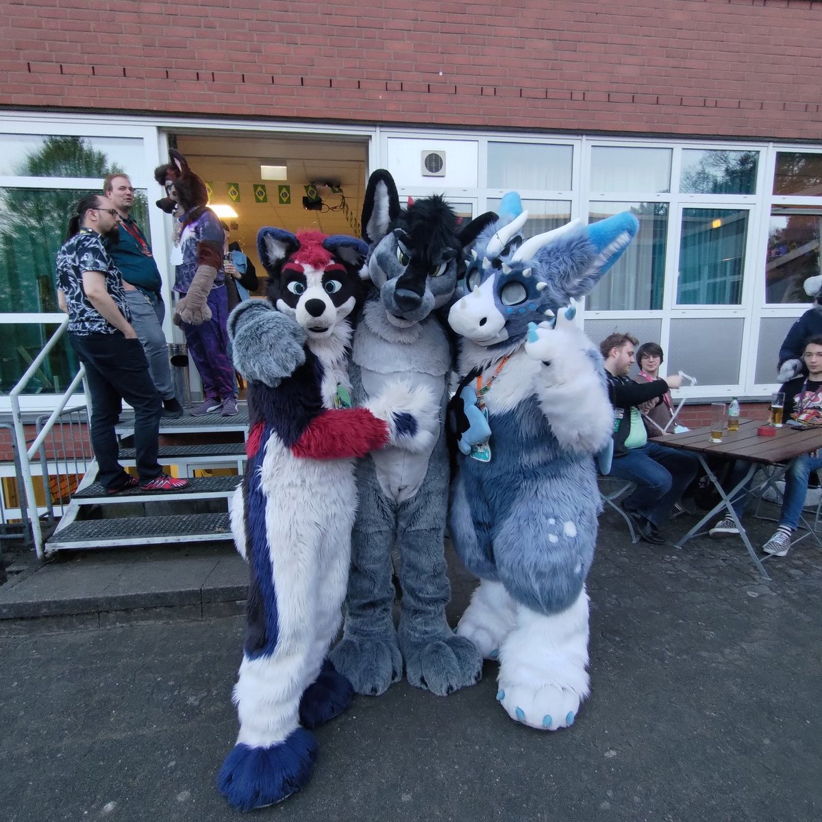 Very nice Furmeet with lots of fantastic furs. 
<a href="/ColtlanH/">Coltlan Husky</a> and <a href="/CloudfallDAD/">CloudfallTheDutchie</a>