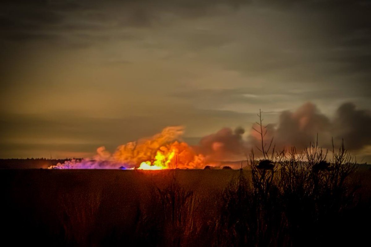Heidebrand verwoest groot gebied, vermoedelijk brandstichting