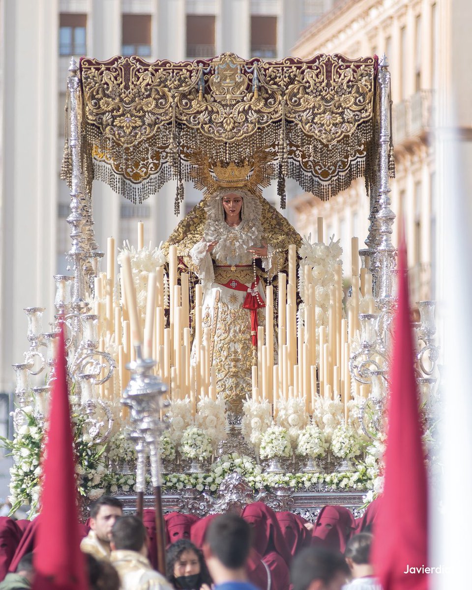 Lapazmalaga's tweet photo. ¡Ya es 𝘿𝙊𝙈𝙄𝙉𝙂𝙊 𝘿𝙀 𝙍𝘼𝙈𝙊𝙎! ❤️🫶🏻

#SuenalaPaz🕊️🎶 #CofradíasMLG https://t.co/U6JVkpCy4j