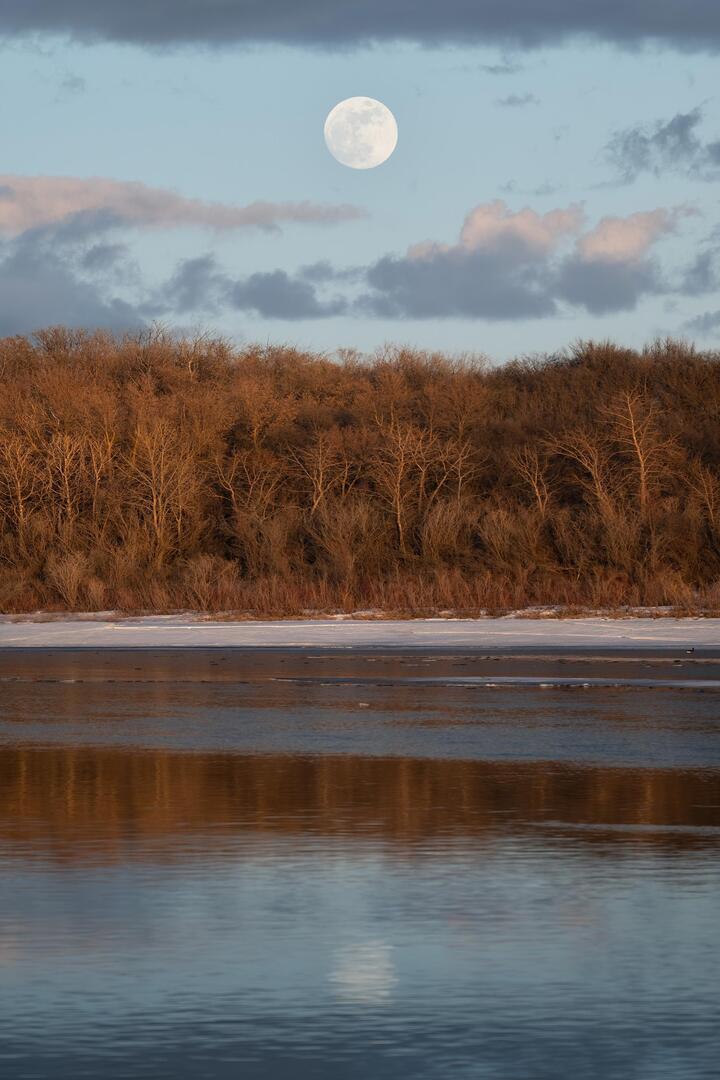 MovieNight_apps's tweet photo. "Pink" Moon rising over the banks of the North Saskatchewan River, Sk, Canada.. [oc] [2000x3000] via /r/EarthPorn https://t.co/NpwdHMTBg3

#photography #photooftheday #photographer #photoshoot #picoftheday #art #beautiful
#instagood #photo #nature #travelphotography
#landscapep… https://t.co/gzM5pz6xRN
