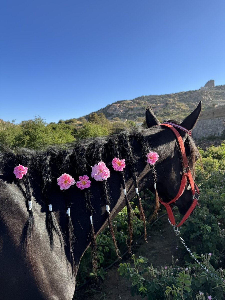 عِـزّ 📻 tweet media