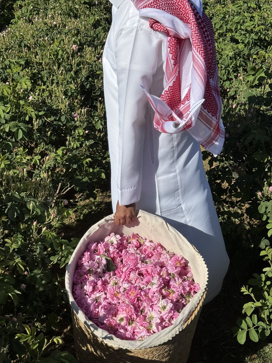 عِـزّ 📻 tweet media