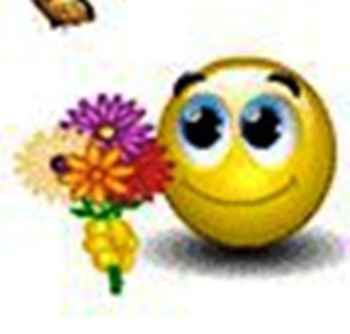 _ryuarc's tweet image. Hiloss