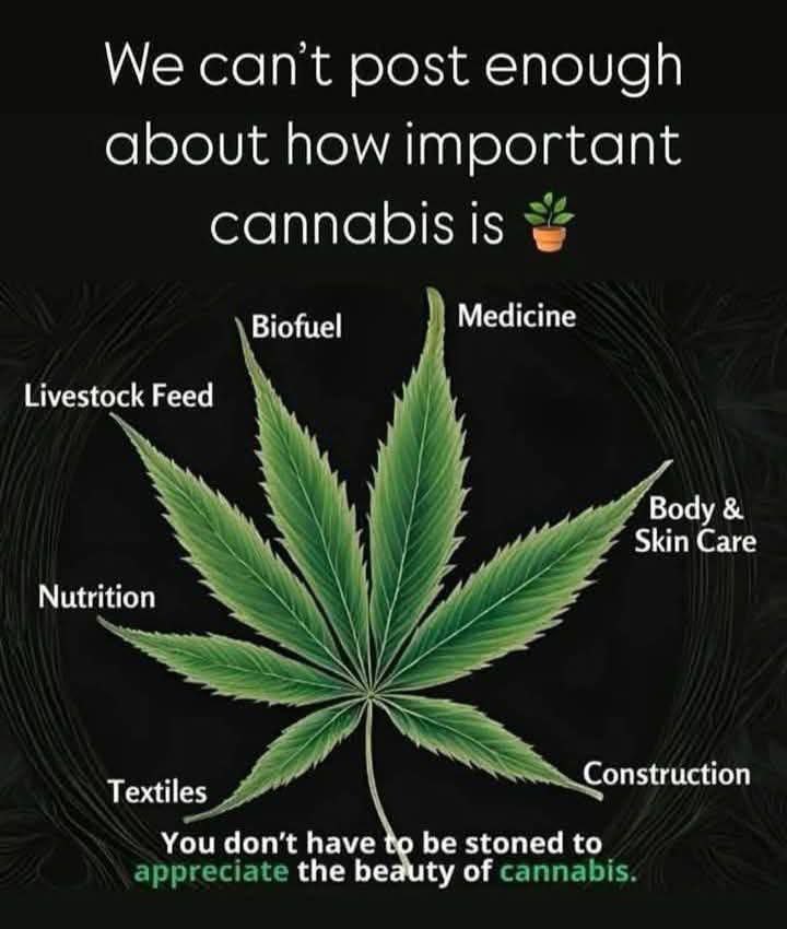 Truewareness's tweet photo. Benefits of cannabis https://t.co/mQSHO6XmhE