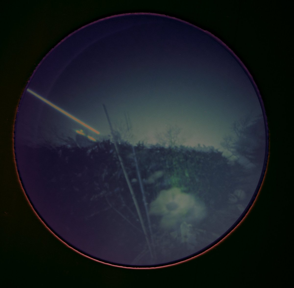 Hannah M tweet media