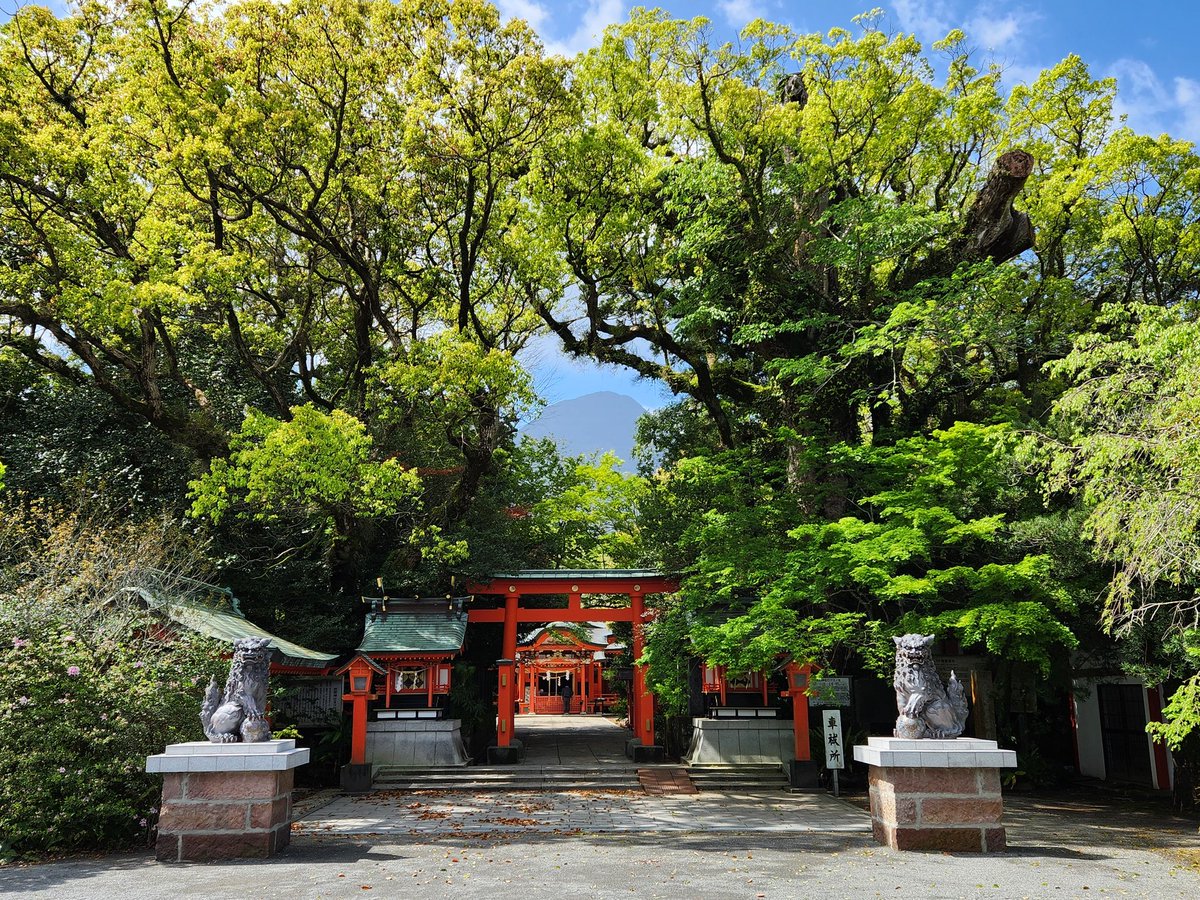 ftogr's tweet photo. 指宿旅行2日目！
JR最南端　西大山駅。
板聞神社、開聞岳(遠くから見ただけ)
知覧武家屋敷庭園等を観光し、
新幹線サクラに乗って帰阪中。 https://t.co/Vos82bsVIh