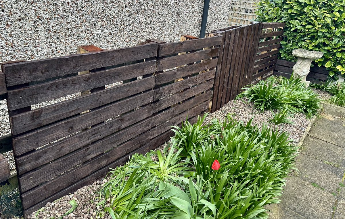 Stuart Rimmer tweet media