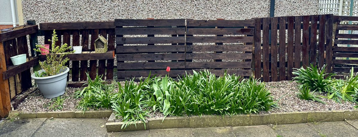 Stuart Rimmer tweet media