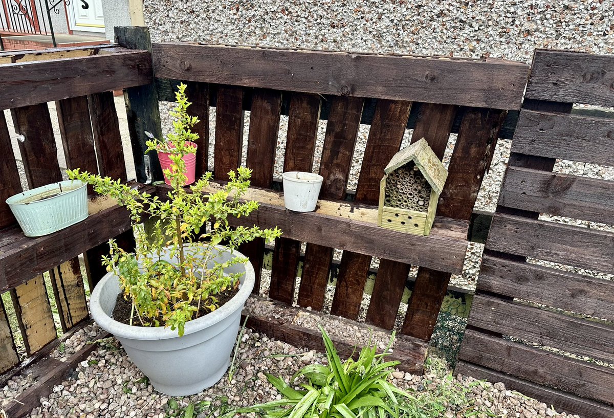 Stuart Rimmer tweet media