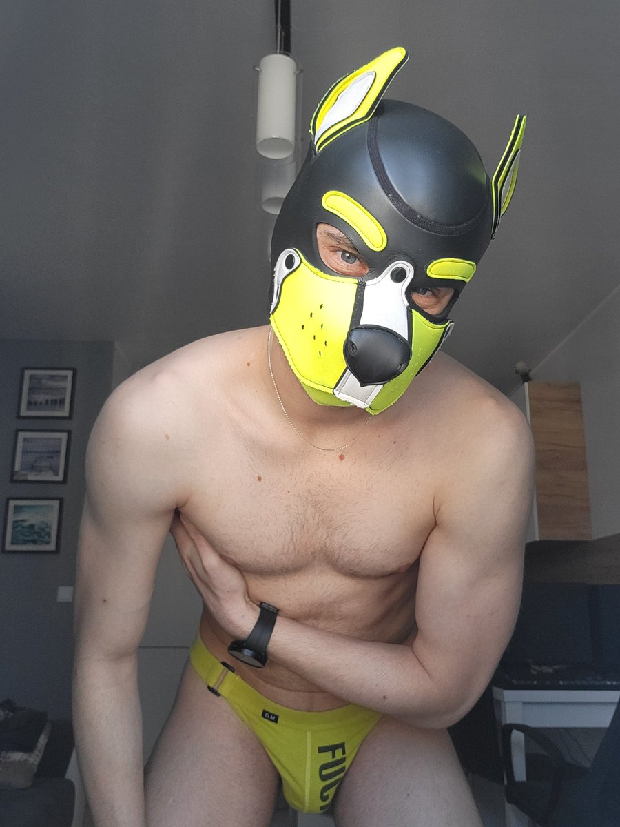 Pup Kamano tweet media