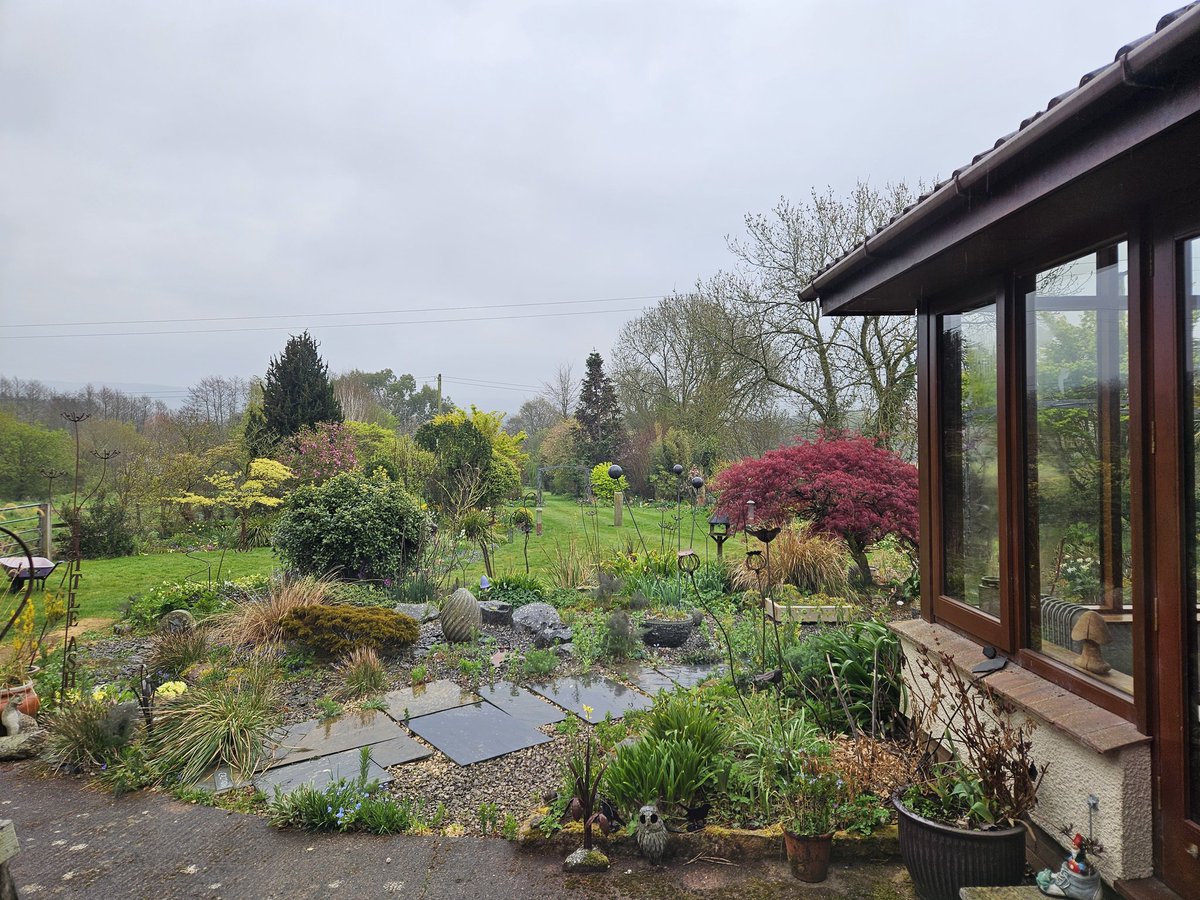 🌿Helen Brown tweet media