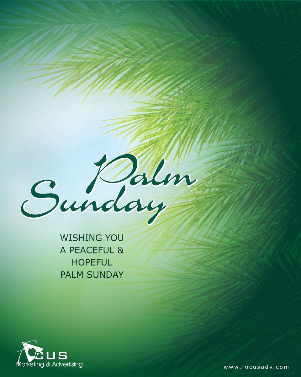 FOCUSADV1998's tweet photo. As we celebrate Palm Sunday, we reflect on the spirit of peace and hope. May this season inspire compassion, hope for healing, and a renewed commitment to a better world. 🌿 

#PalmSunday #Peace #Hope https://t.co/Vyzf48TNEq