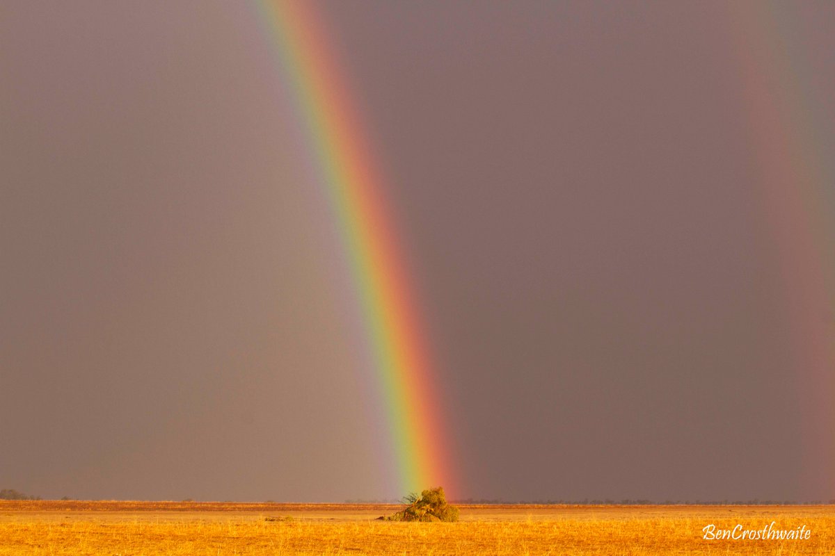 Hoping for a good season.