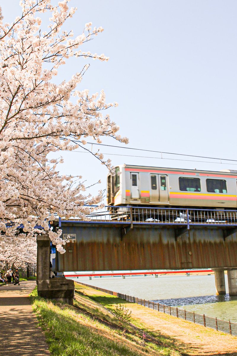 taka_hiro (@taka_hiro2) on Twitter photo 