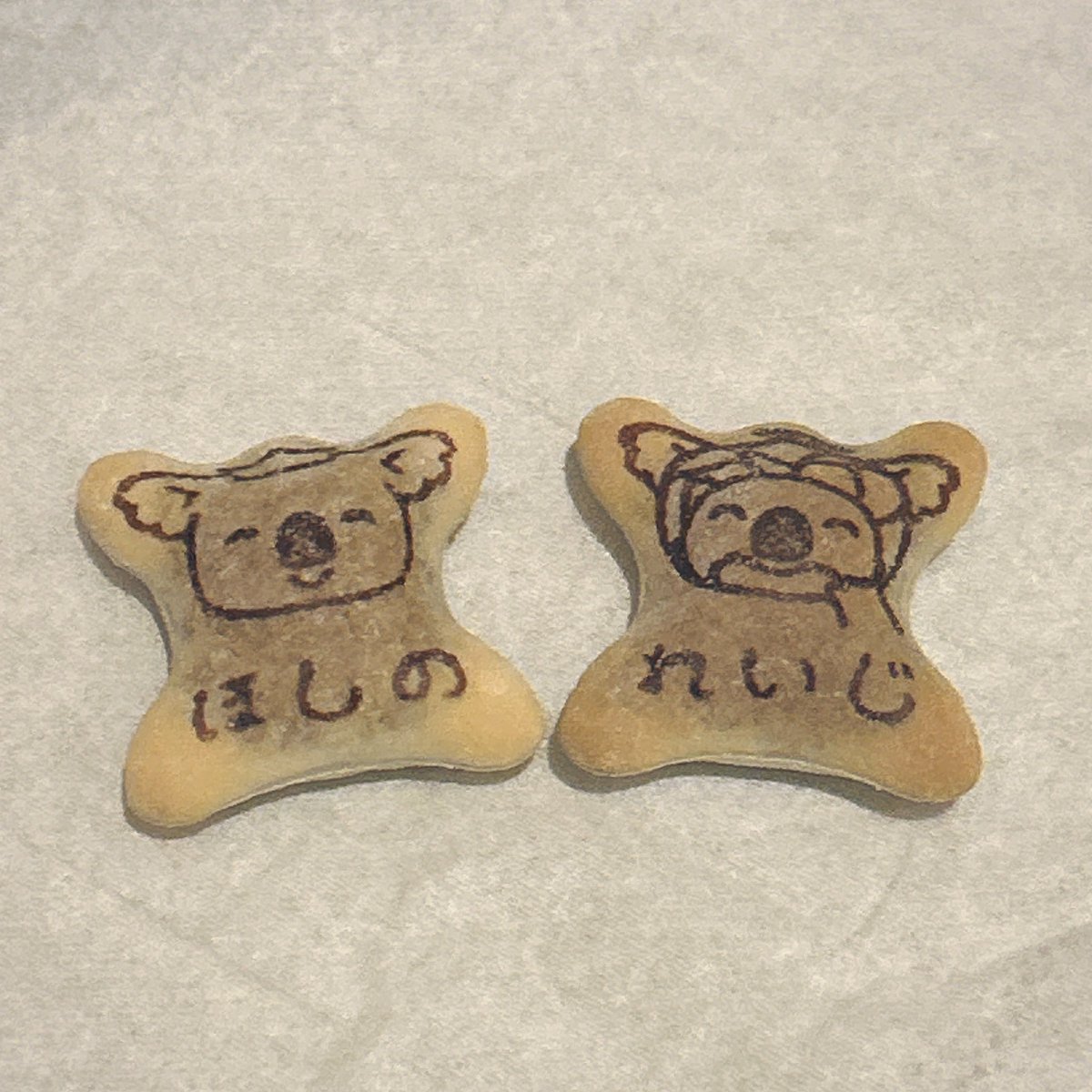 hjkusinym's tweet photo. 🐨のマーチれいじやっとでた✨❤️✨
しかもほしのさんと一緒に来た🥲🥲🥲
ありがとう…😇 https://t.co/ugpmuRQhjK