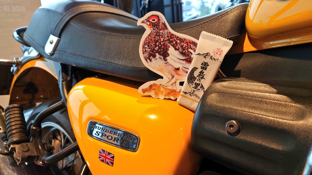 ストリートトリプルRSのM様から雷鳥の里を頂きました！✨️

当店の雷鳥（サンダーバードスポーツ）と一緒に記念撮影です📸

この車両以外にも数台、倉庫にもじつはたくさんサンダーバードがあるトラ浜…雷鳥の里なのかも？？！🤭