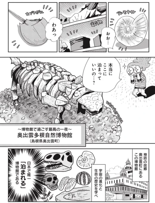 博物館に泊まってきた!(1/3)
日本で唯一の泊まれる博物館に泊まってきたお話です。 