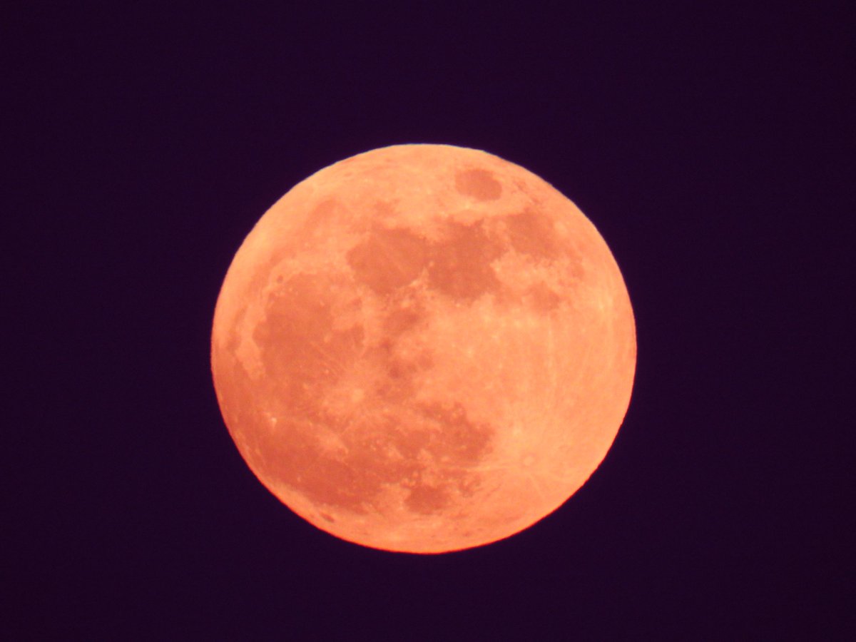 DorteHedengran's tweet photo. The beautiful moon last evening 🌕
#Denmark #Nikon #NaturePhotography #April13th #photooftheday #SundayVibes #SundayMood #Sunday #moon
📸Dorte Hedengran https://t.co/avl482KVmI