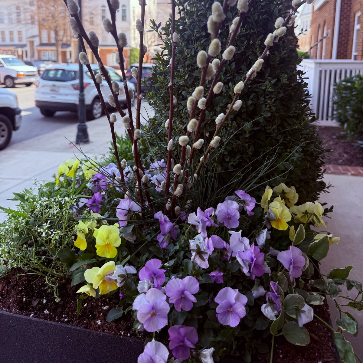 CourtsOfDevon's tweet image. Springtime magic at The Courts of Devon—where flowers bloom and history shines. 🌸🏛️ #SpringInDevon #CourtsOfDevon
#Bozzutoliving