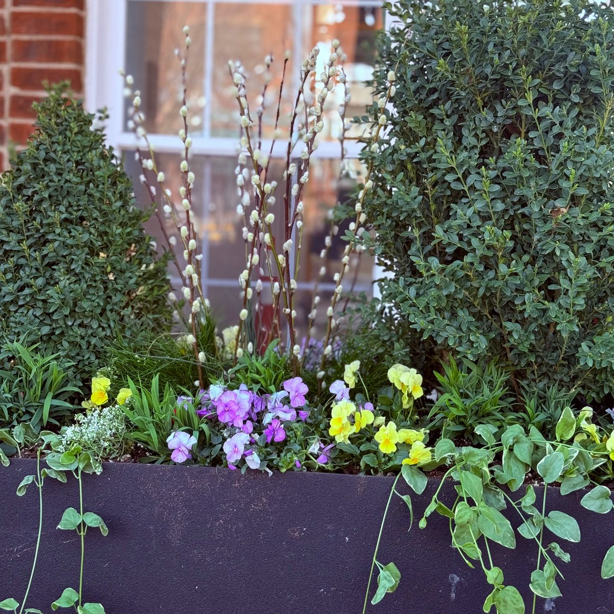 CourtsOfDevon's tweet image. Springtime magic at The Courts of Devon—where flowers bloom and history shines. 🌸🏛️ #SpringInDevon #CourtsOfDevon
#Bozzutoliving