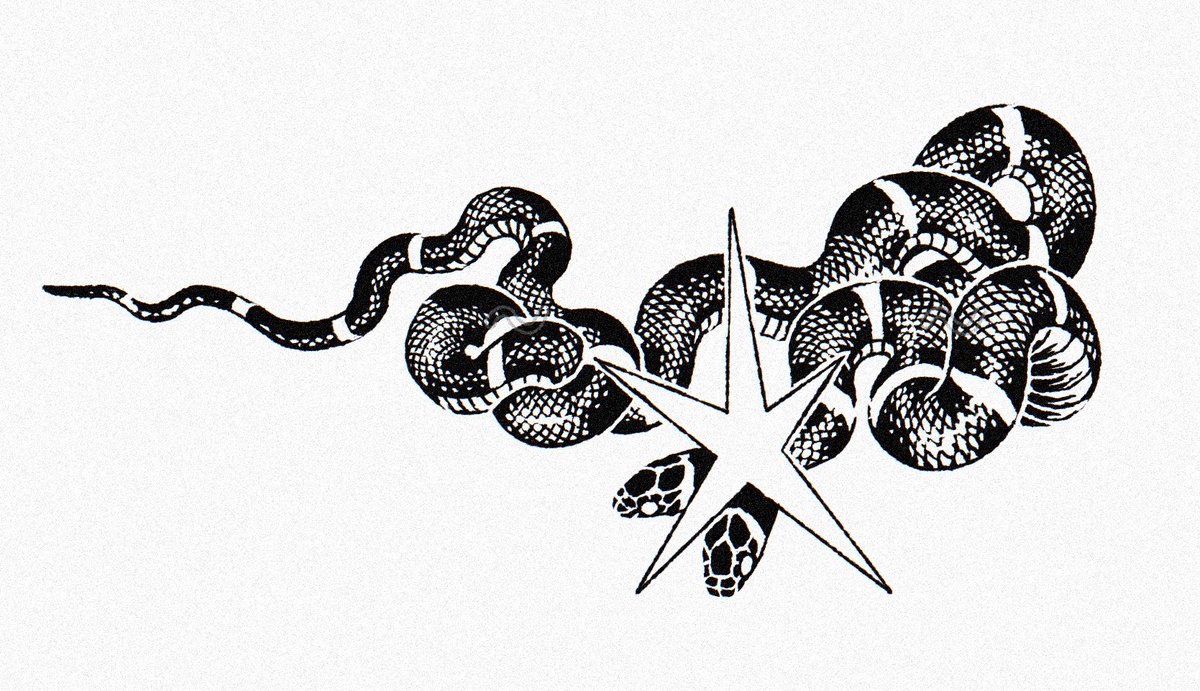 clarascintilla's tweet photo. Btw these snake designs are still available! https://t.co/pYbKN4QDJX